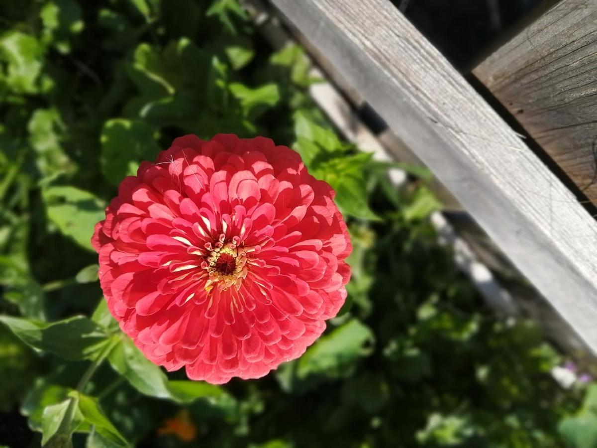 브레싸노네 Saderhof 빌라 외부 사진